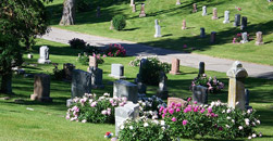 Calvary Cemetery